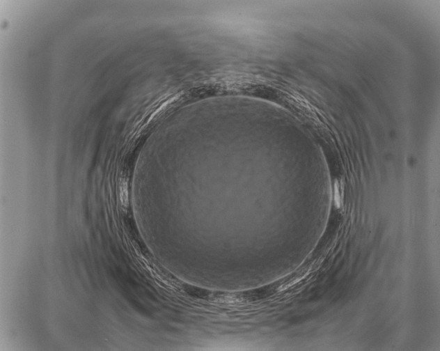 X0000087711155200705181837