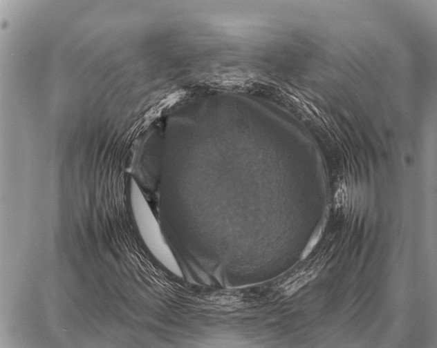 X0000087711156200705181837