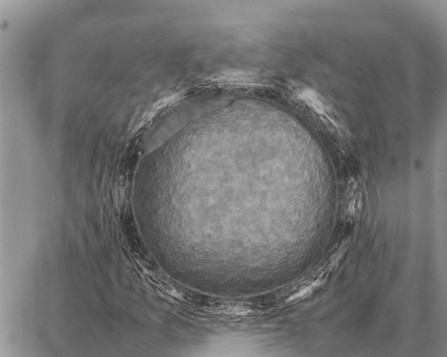 X0000087711157200705181837