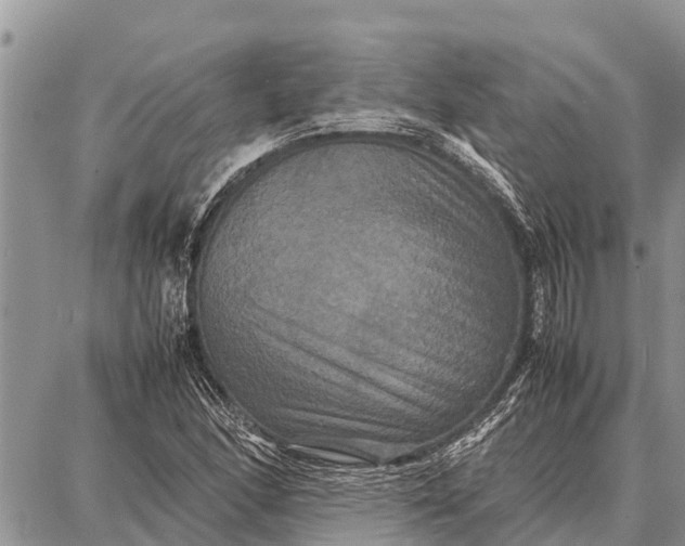 X0000087711166200705181837
