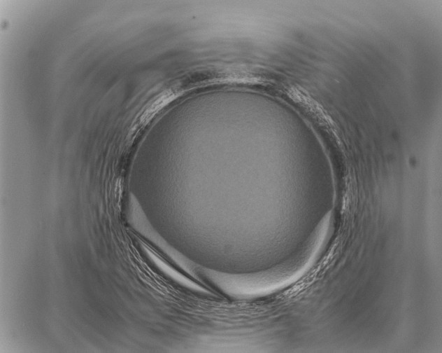 X0000087711169200705181837