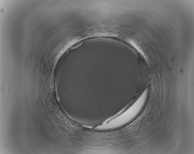 X0000087711173200705181837