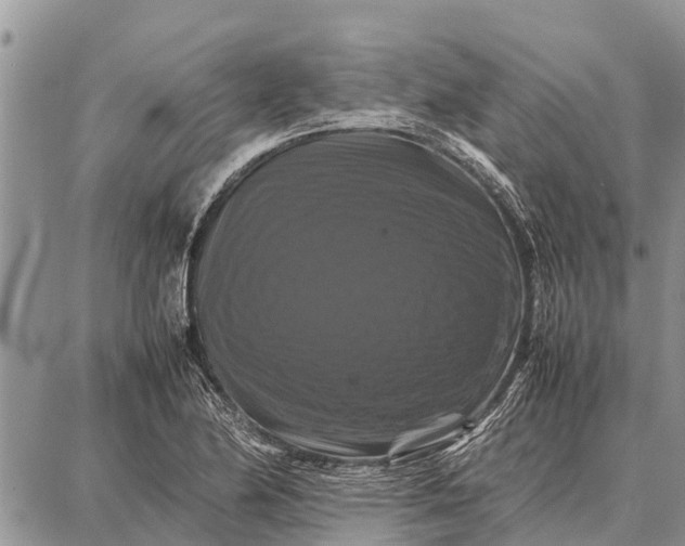 X0000087711174200705181837