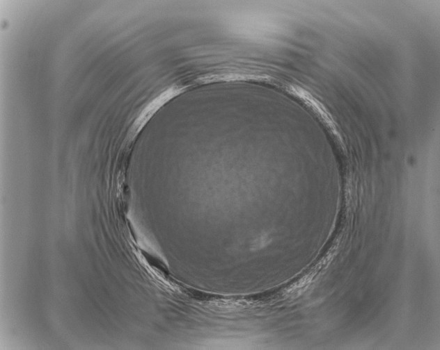 X0000087711185200705181837