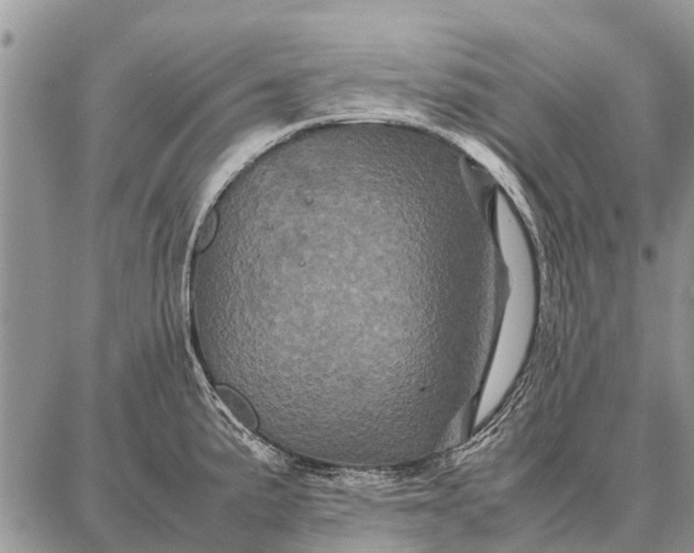 X0000087711191200705181837