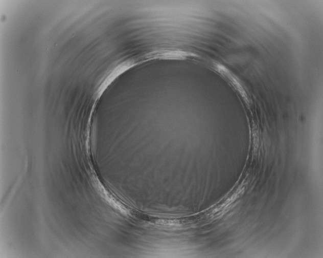 X0000087711194200705181837
