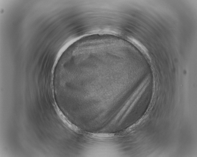 X0000087711200200705181837