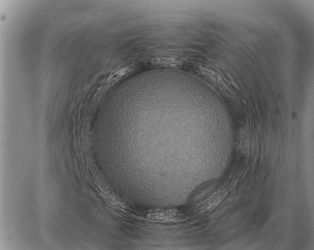X0000087711201200705181836