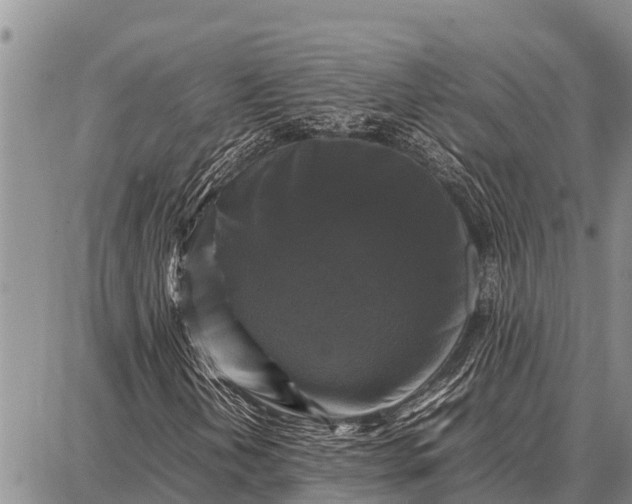 X0000087711202200705181836