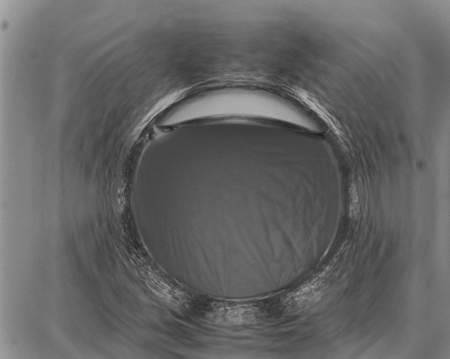X0000087711213200705181836
