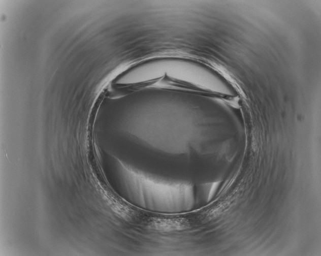 X0000087711229200705181836