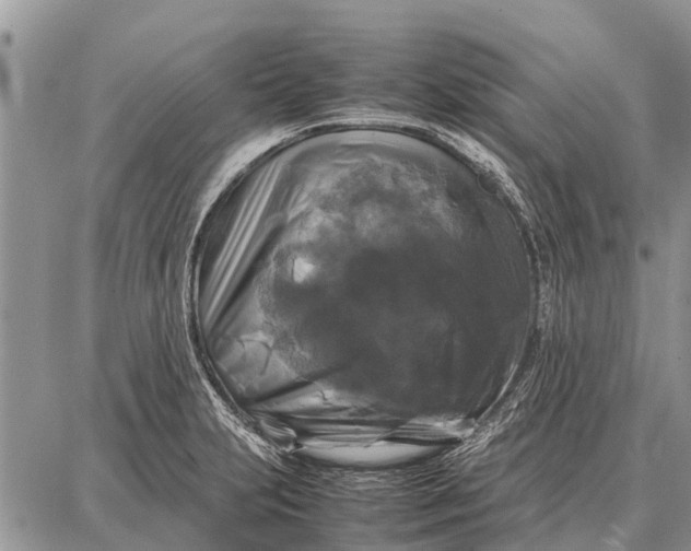 X0000087711231200705181836