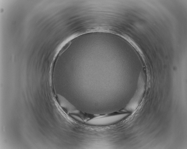 X0000087711246200705181837