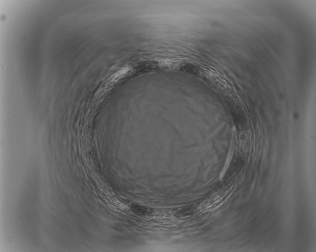 X0000087711249200705181836