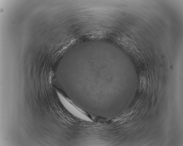 X0000087711250200705181836