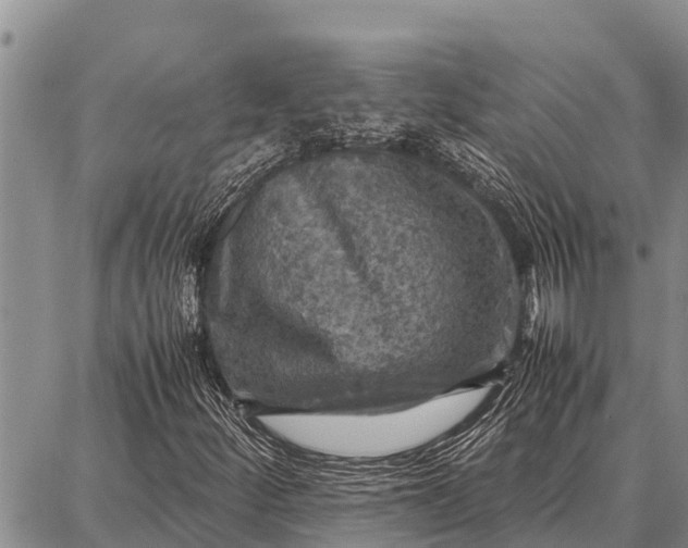 X0000087711252200705181836