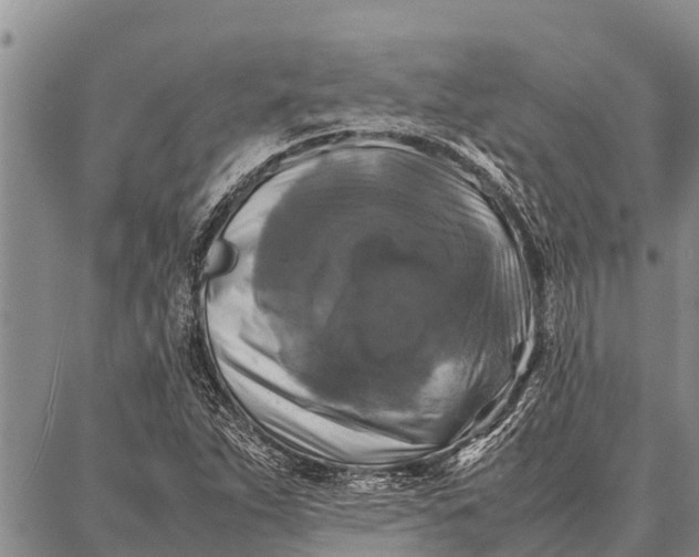 X0000087711263200705181836