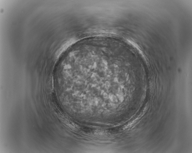 X0000087711267200705181836
