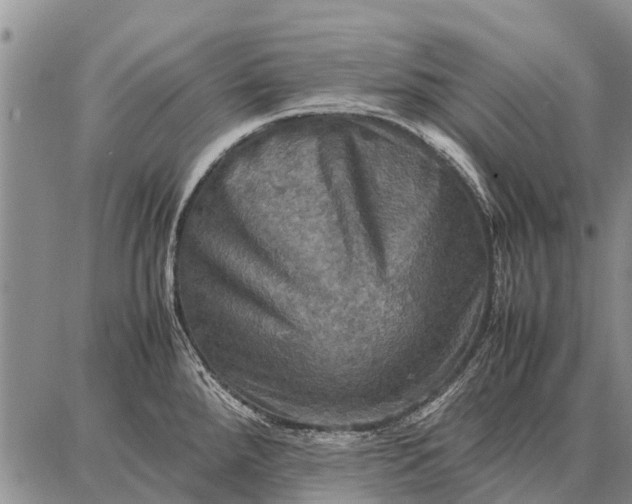 X0000087711288200705181835