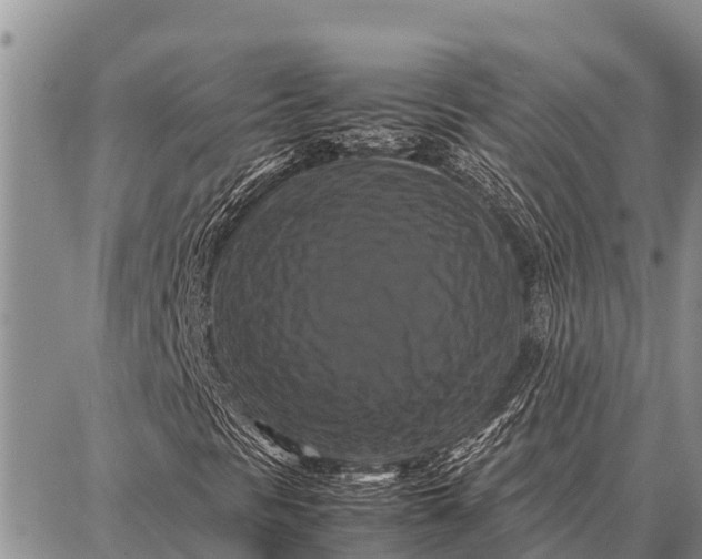 X0000087711297200705181834