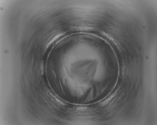 X0000087711306200705181834