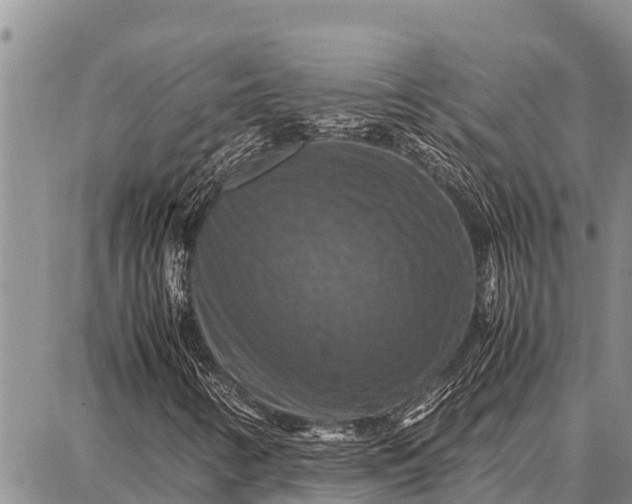X0000087711346200705181834