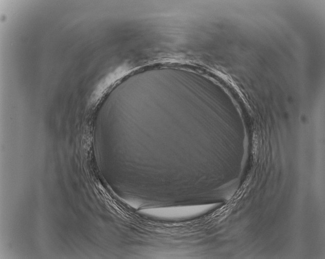 X0000087711359200705181834