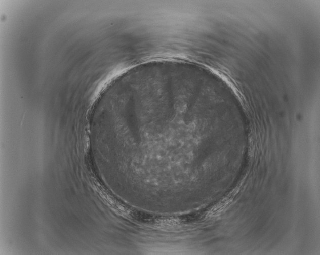 X0000087711363200705181834