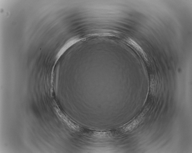 X0000087711378200705181834