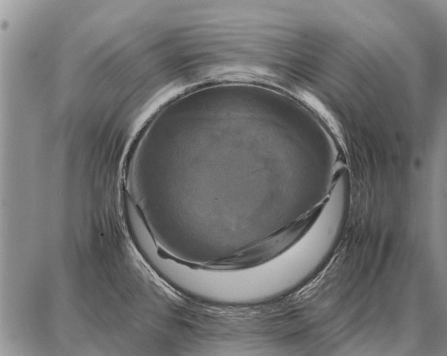 X0000087711384200705181834