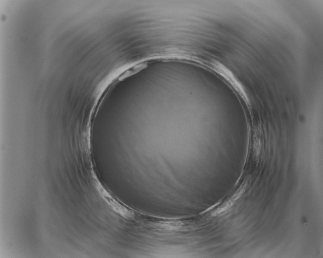 X0000087711388200705181834