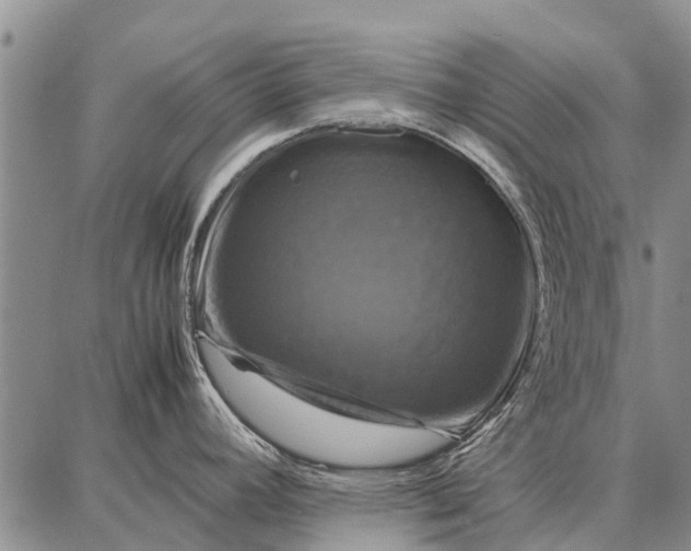 X0000087711392200705181834