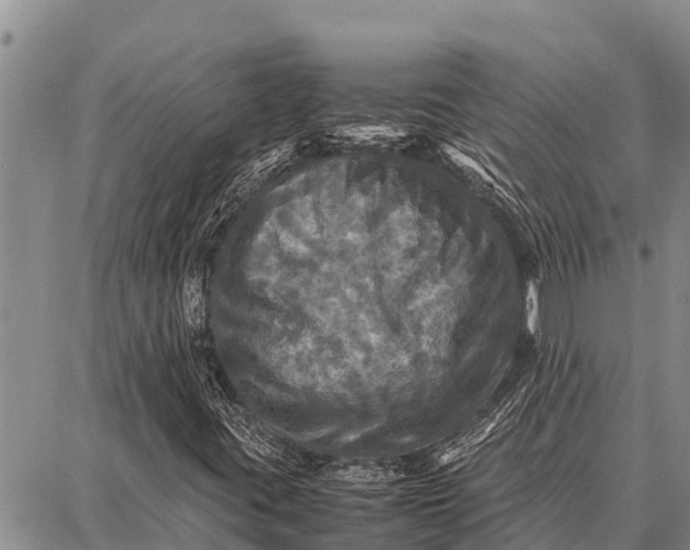 X0000087711395200705181833