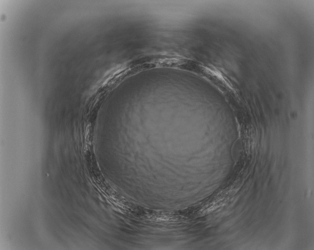 X0000087711399200705181833