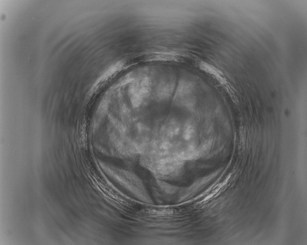 X0000087711403200705181833