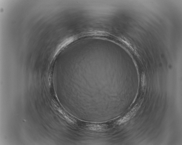 X0000087711405200705181833
