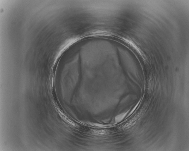 X0000087711413200705181833