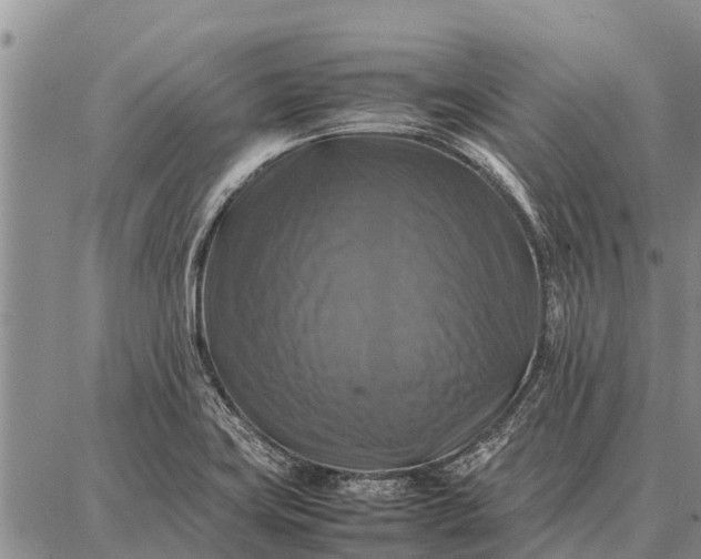 X0000087711419200705181833