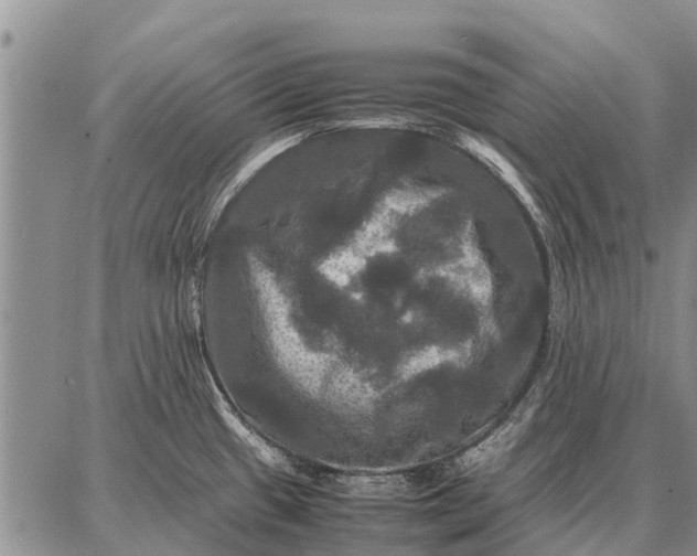 X0000087711433200705181833