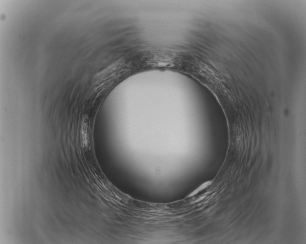 X0000087711442200705181833