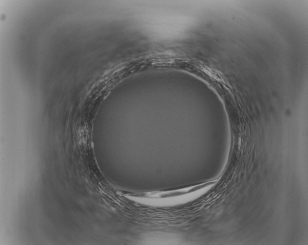 X0000087711445200705181833