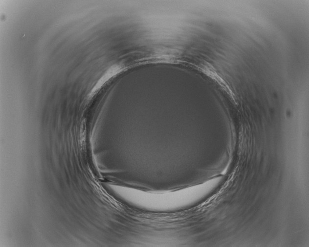 X0000087711450200705181833