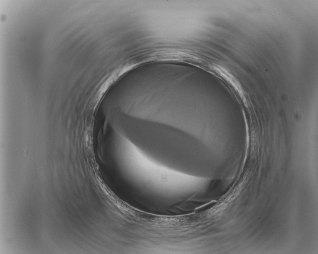 X0000087711481200705181832