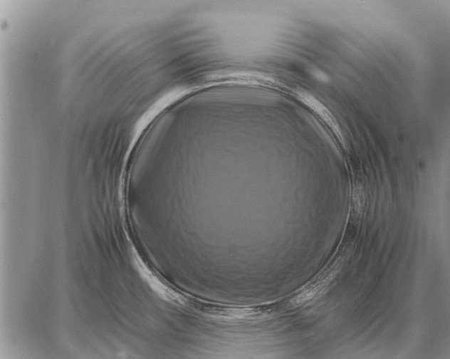 X0000087711482200705181832