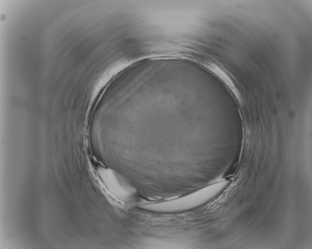 X0000087711485200705181832