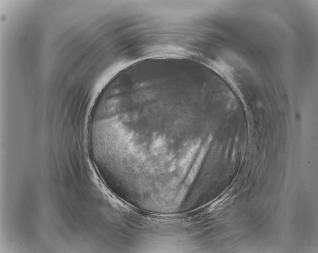 X0000087711488200705181832