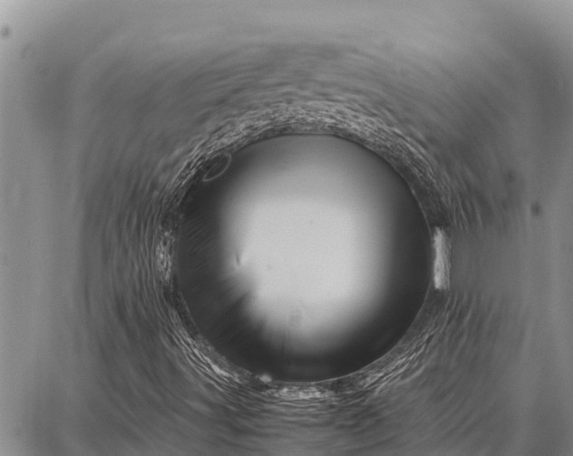 X0000087711491200705181831
