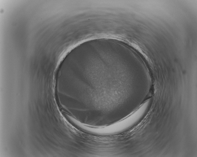 X0000087711508200705181831