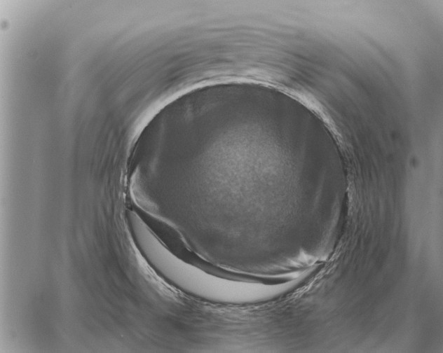 X0000087711524200705181832