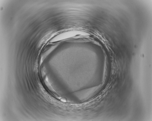 X0000087710002200705251810